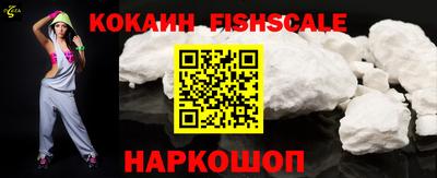 крисы Можга