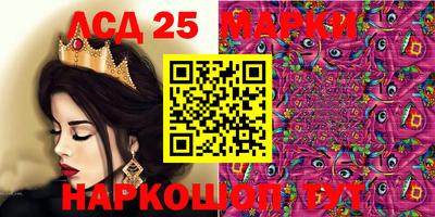 крисы Можга