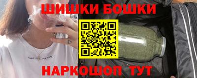 крисы Можга