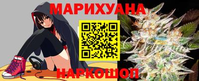 крисы Можга