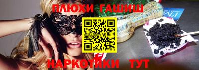 крисы Можга