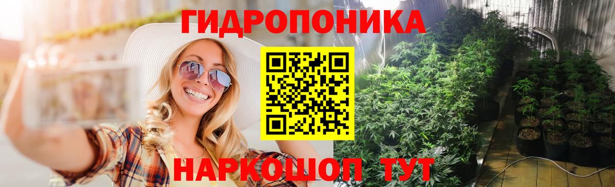Каннабис план Улан-Удэ